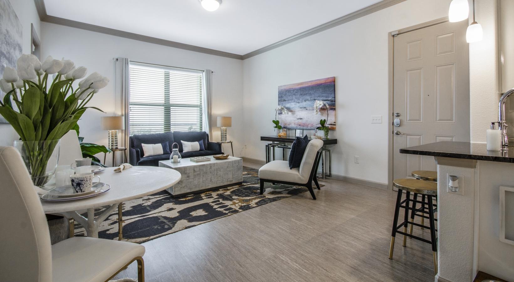 Relax and unwind in well-lit living areas a living room with a rug and a couch